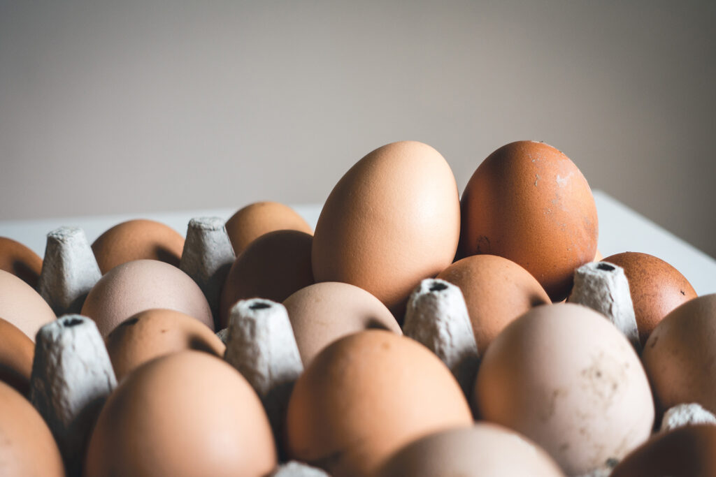 Protein rich eggs